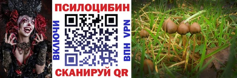 Псилоцибиновые грибы ЛСД  darknet формула  Геленджик 